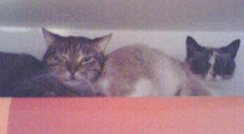 Sarah und Chatri Bild von Sarah