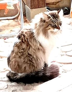 Lander Bild von Lander