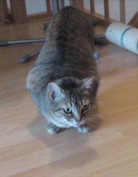 Fiona Bild von Fiona