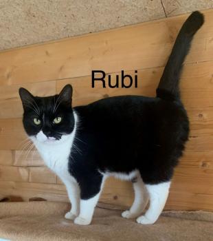 Bild von Rubi