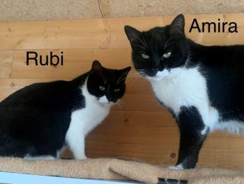 Bild von Rubi