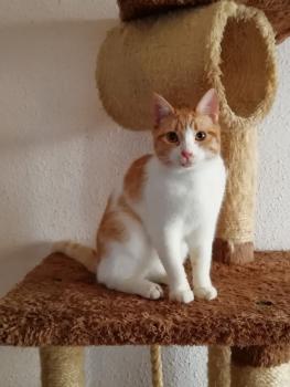 Bild von Lucrecia