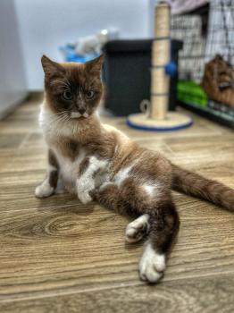 Elsa Bild von Elsa