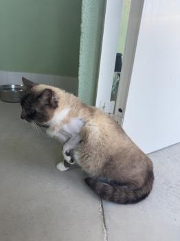 Elsa Bild von Elsa
