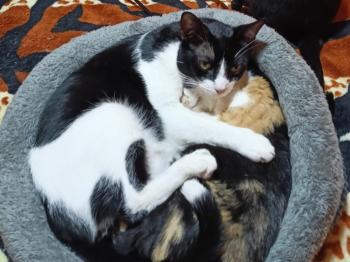 Brigitte Bild von Brigitte