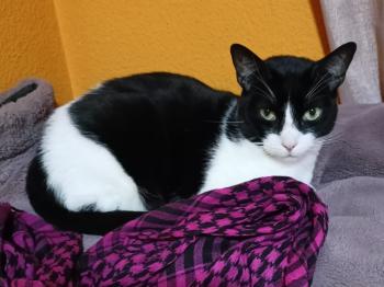Kasper Bild von Kasper