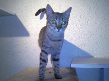 Bild von Txiki