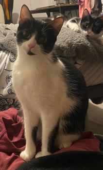 Minnie Bild von Minnie