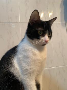 Minnie Bild von Minnie