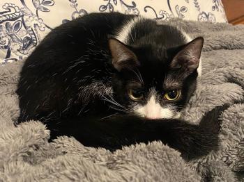 Minnie Bild von Minnie
