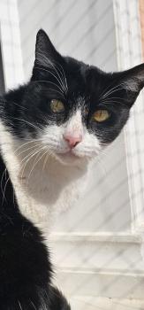 Bibi Bild von Bibi