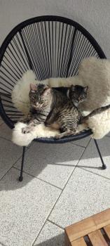 Cyntia Bild von Cyntia