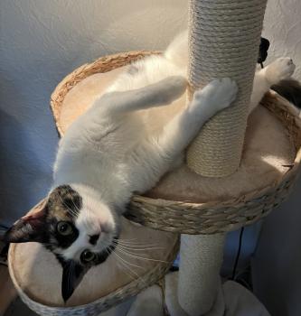Mina Bild von Mina