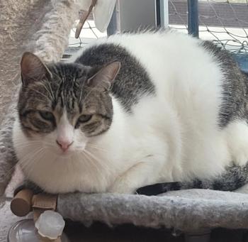 Grumpy Bild von Grumpy