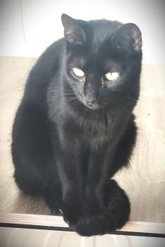 Kilo Bild von Kilo