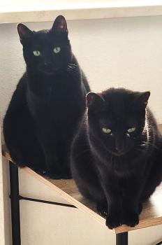 Kilo Bild von Kilo