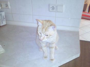 Rubio Bild von Rubio