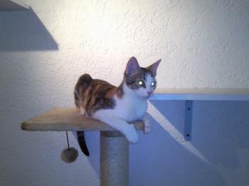 Frieda Bild von Frida