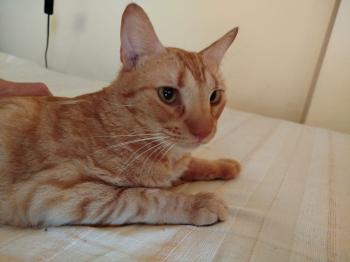 Bastian Bild von Bastian