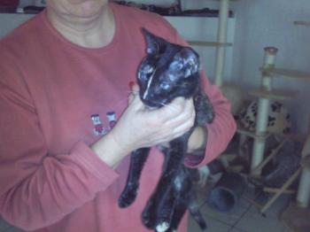 Dalila Bild von Dalila