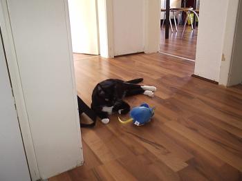 Mathias Bild von Mathias