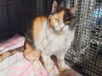 Mila Bild von Mila