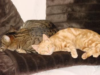 Lili Bild von Tucker