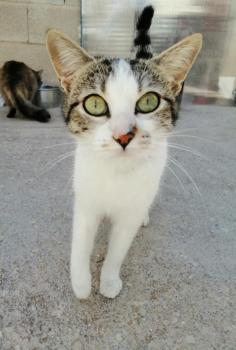 Agata Bild von Agata