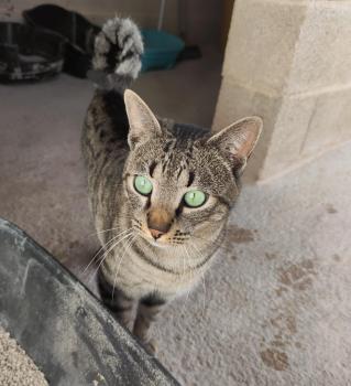 Marty Bild von Marty