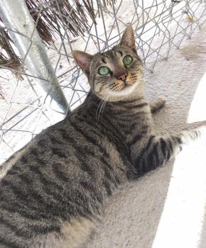 Marty Bild von Marty