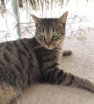 Marty Bild von Marty
