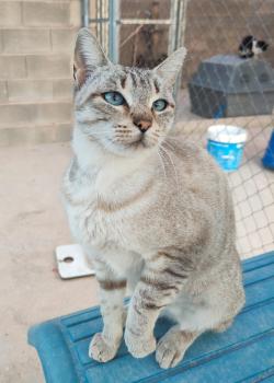 Kyara Bild von Kyara