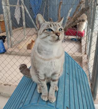 Kyara Bild von Kyara