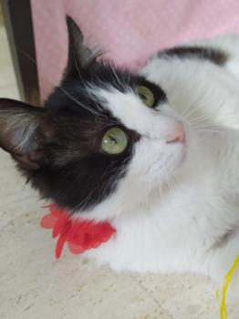 Suki Bild von Suki