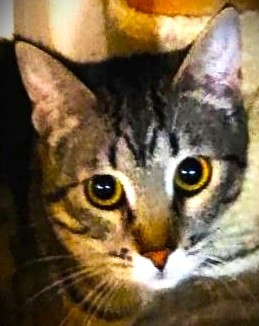 Bild von Lilou