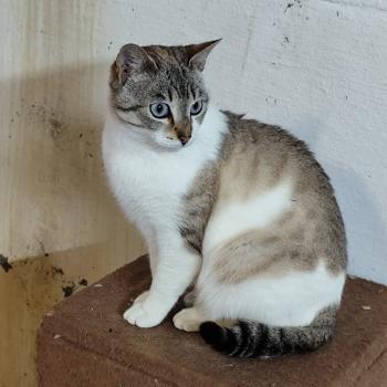 Cloe Bild von Cloe