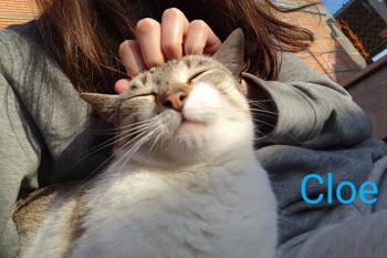 Cloe Bild von Cloe
