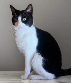 Monica Bild von Monica