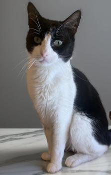 Monica Bild von Monica