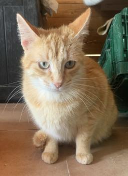 Jimmy Bild von Jimmy