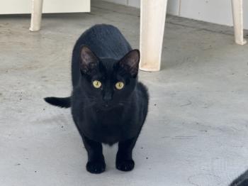 Rosita Bild von Rosita