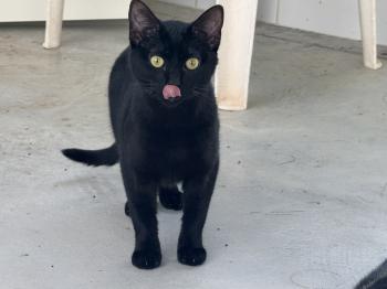 Rosita Bild von Rosita