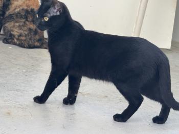 Rosita Bild von Rosita