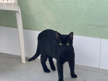 Rosita Bild von Rosita