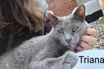 Bild von Triana