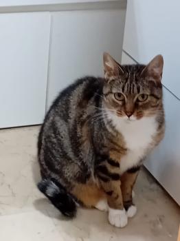 Moly Bild von Moly