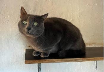 Quimi Bild von Quimi