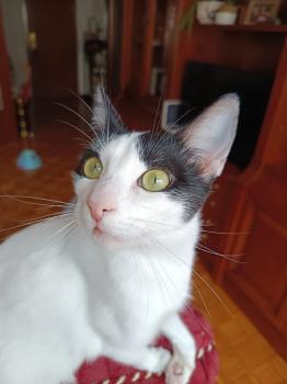 Bild von Eliot