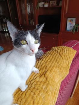 Bild von Eliot