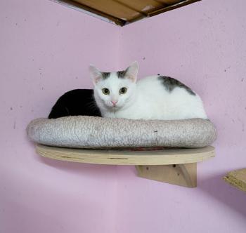Bild von Anastasia